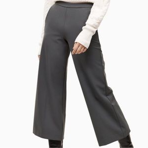 Never been worn Aritzia Dumont pant in black